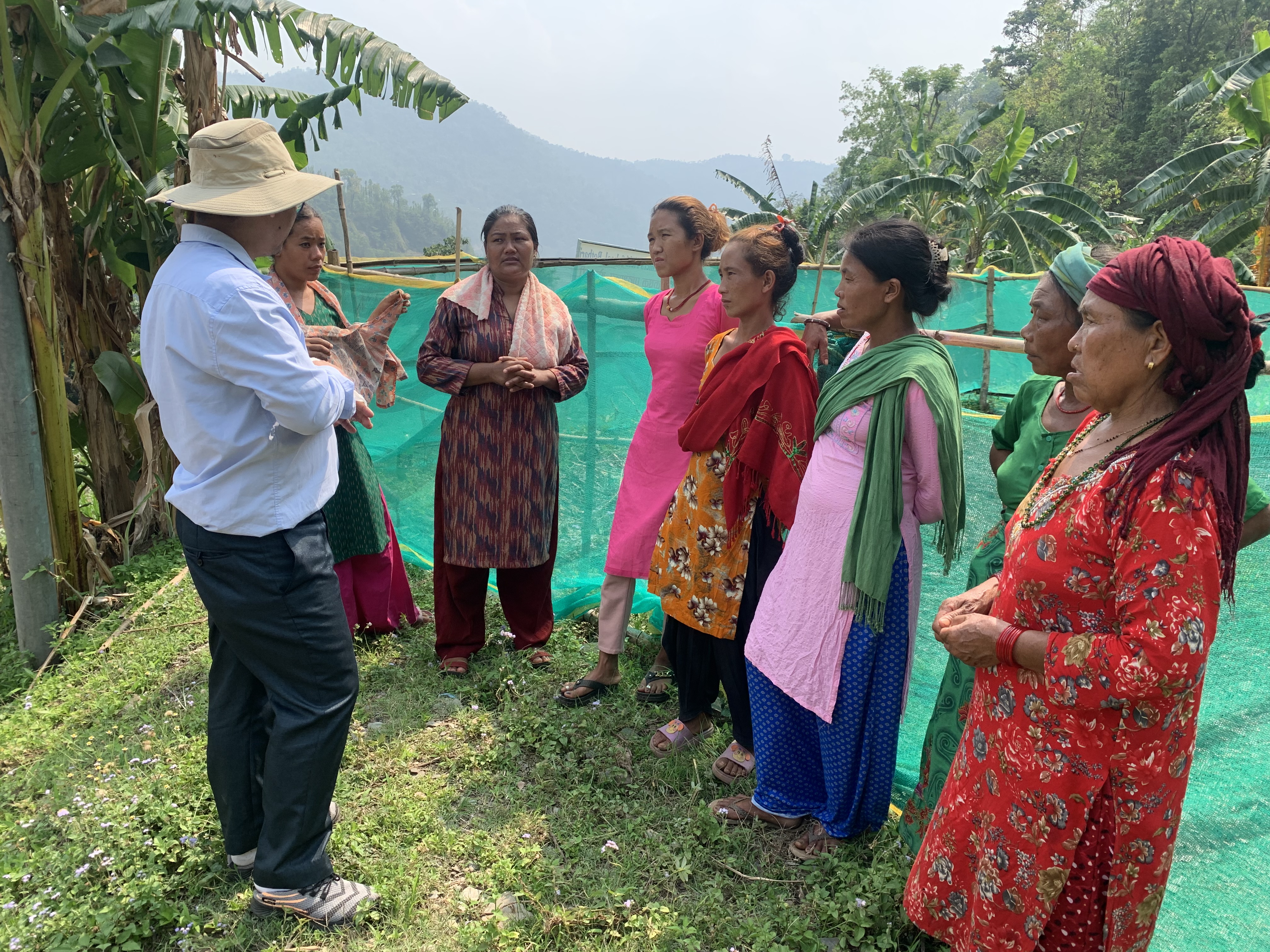Field visit and reporting