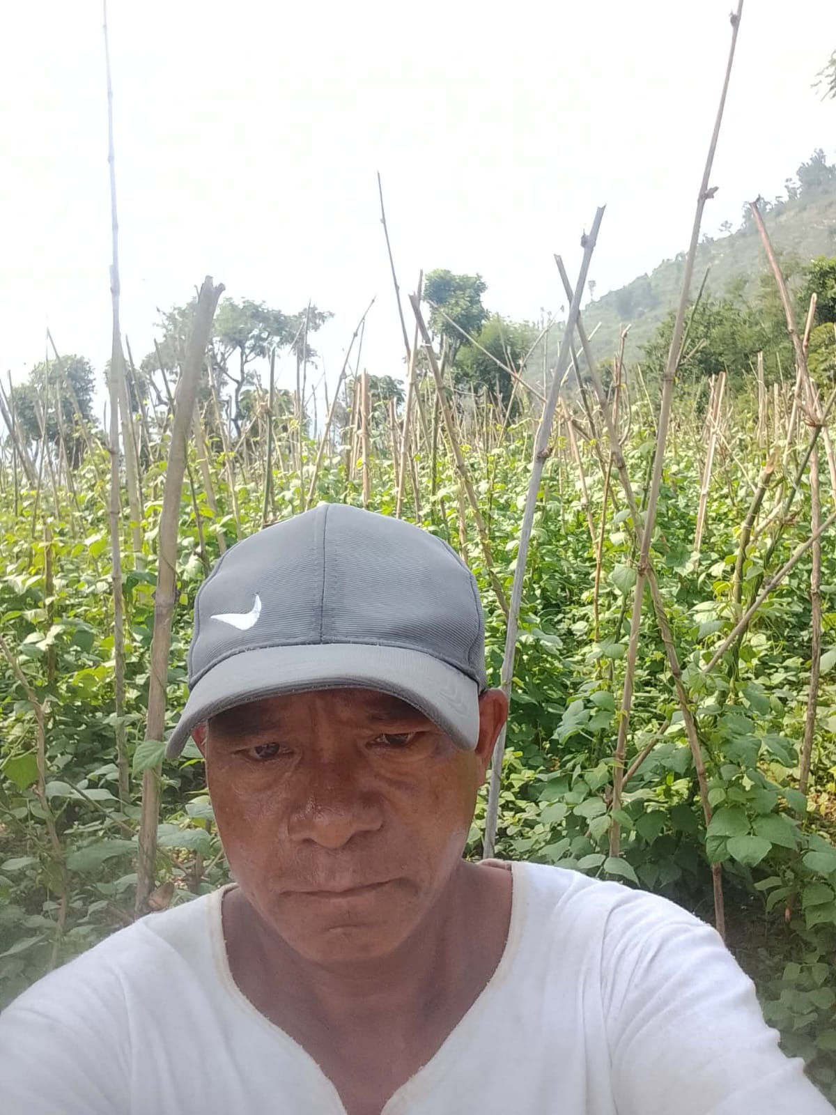 Income Generation & Livelihood